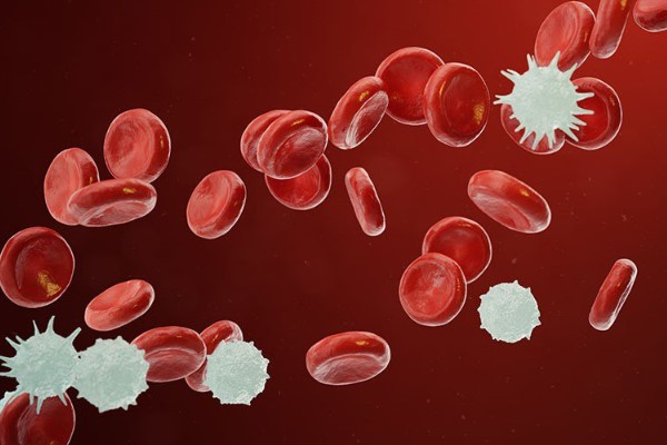Tiên lượng sống của bệnh ung thư máu thể M2 thế nào?
