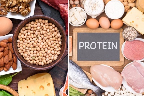 Thực phẩm giàu protein 