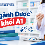 Ngành Dược khối A1 và những điều thí sinh cần biết